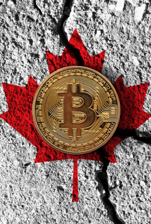 Simplify Payments Podcast - EP 2 (Understanding Canada's Crypto Landscape With Adam Cai - VirgoCX) cover